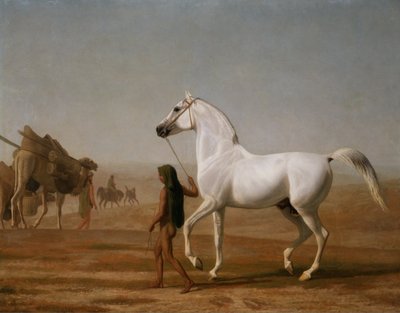The Wellesley Grey Arabian Led through the Desert by Jacques Laurent Agasse